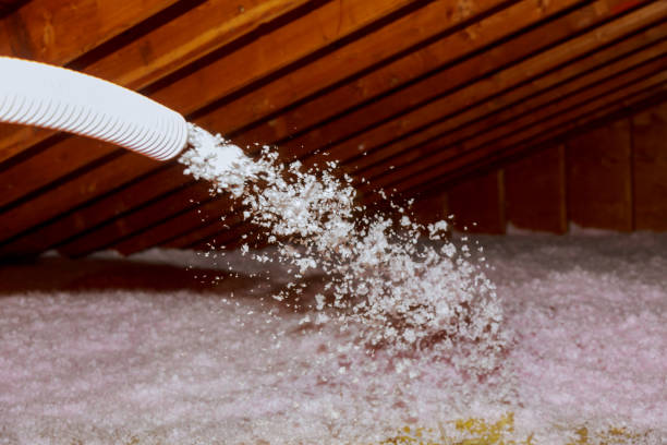 Best Insulation Maintenance and Repair in Redington Beach, FL