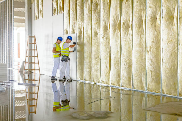 Best Insulation Installation Services in Redington Beach, FL